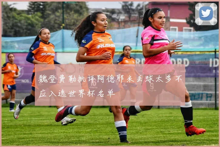 魏登费勒批评阿德耶米丢球太多不应入选世界杯名单