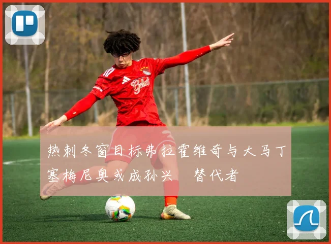 热刺冬窗目标弗拉霍维奇与大马丁塞梅尼奥或成孙兴慜替代者