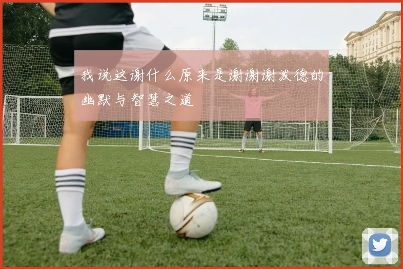 我说这谢什么原来是谢谢谢泼德的幽默与智慧之道