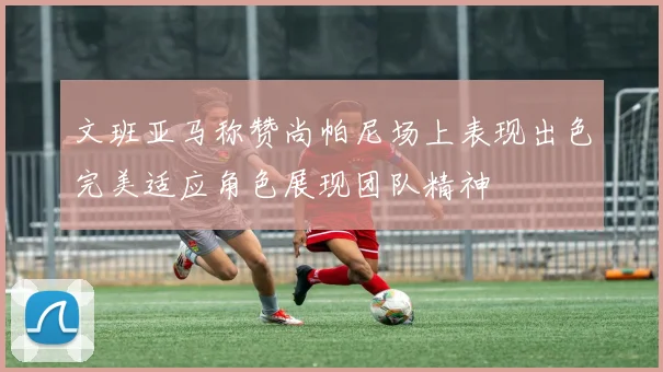 文班亚马称赞尚帕尼场上表现出色完美适应角色展现团队精神